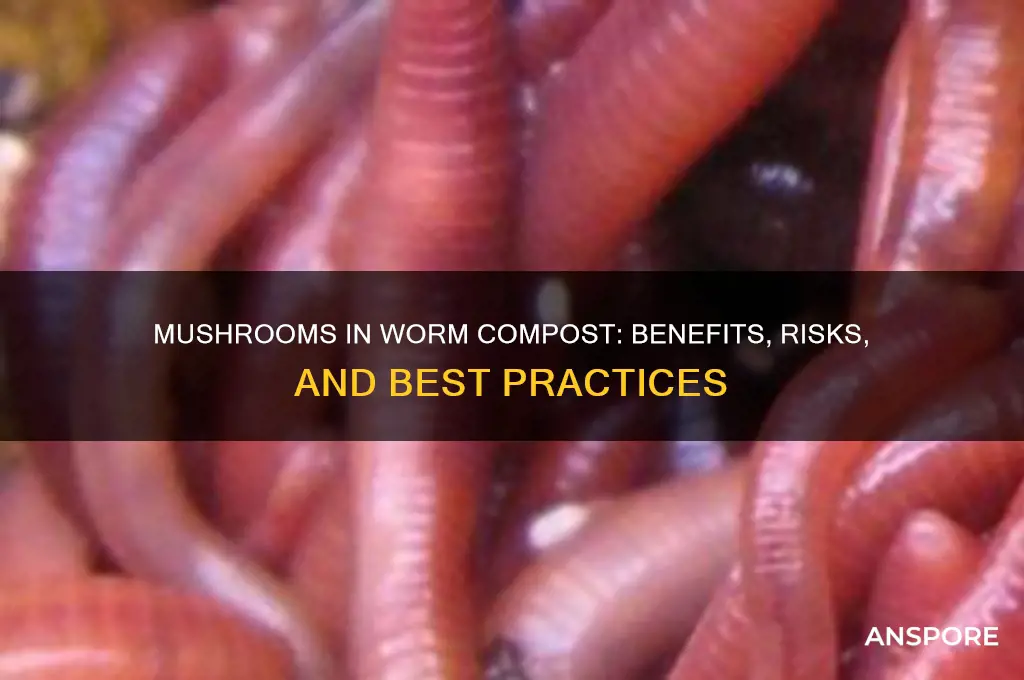 can i put mushrooms in my worm compost bin