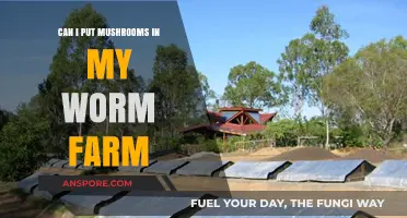 Mushrooms in Worm Farms: Benefits, Risks, and Best Practices