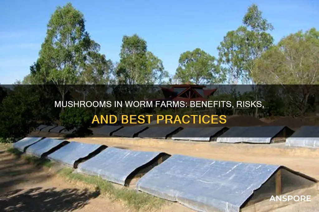 can i put mushrooms in my worm farm