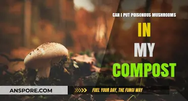 Composting Poisonous Mushrooms: Safe Practice or Risky Business?