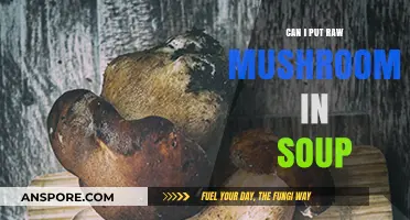 Raw Mushrooms in Soup: Benefits, Risks, and Cooking Tips
