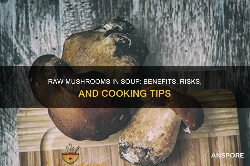 can i put raw mushrooms in soup