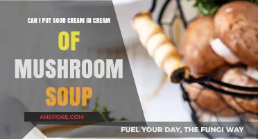 Sour Cream in Cream of Mushroom Soup: A Tasty Twist?