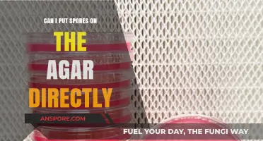 Directly Inoculating Agar with Spores: Best Practices and Risks Explained