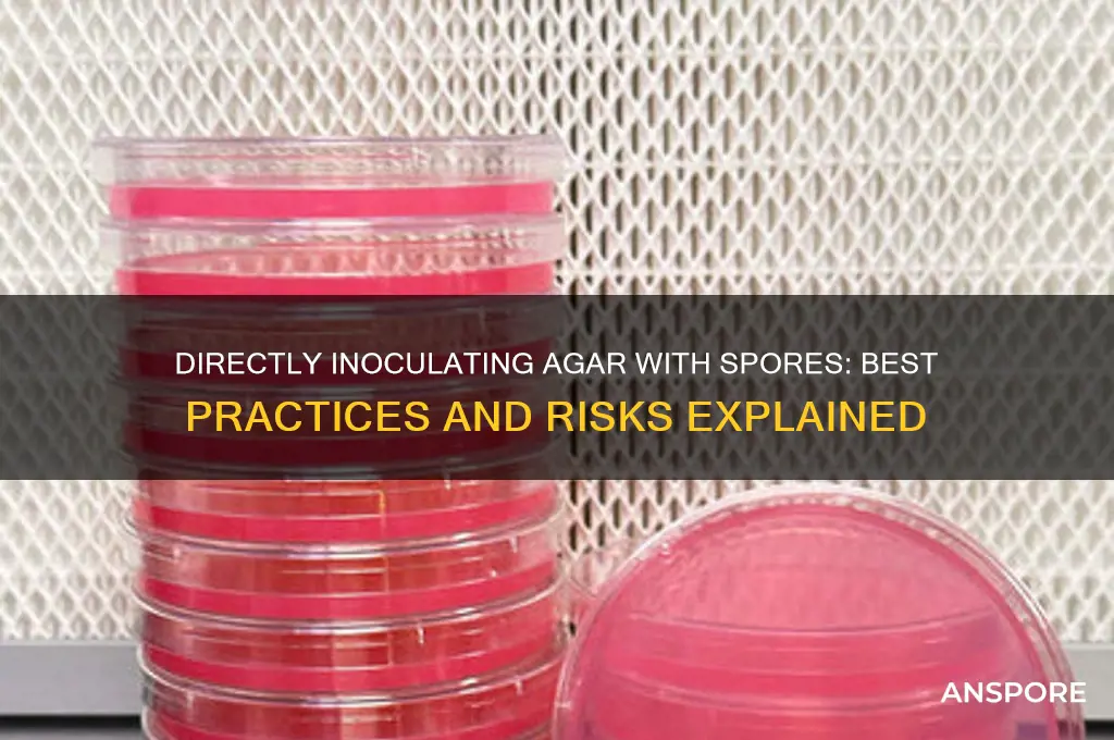 can i put spores on the agar directly