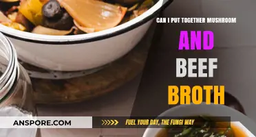 Mushroom and Beef Broth Fusion: A Flavorful Culinary Experiment