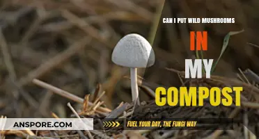 Composting Wild Mushrooms: Safe Practices and Potential Benefits Explained