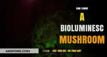 Growing Bioluminescent Mushrooms: A Guide to Raising Glowing Fungi at Home