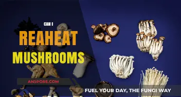 Reheating Mushrooms: Safe Practices and Tips for Delicious Results