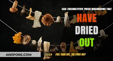 Reviving Dried Mushrooms: Reconstituting Freshness in Your Kitchen