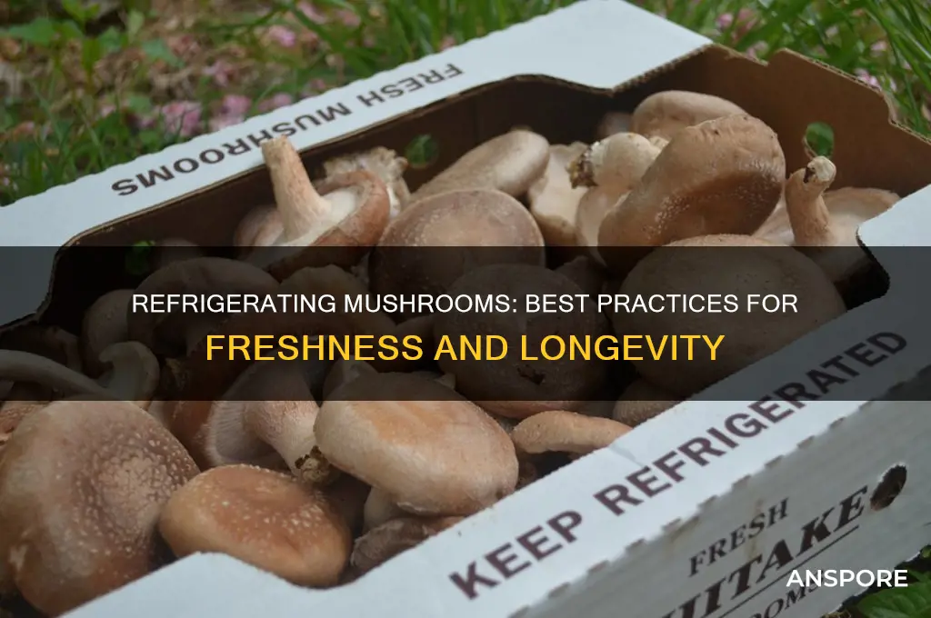 can i refrigerate mushrooms