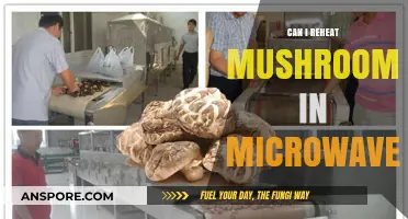 Reheating Mushrooms in the Microwave: Safe, Quick, and Easy Tips
