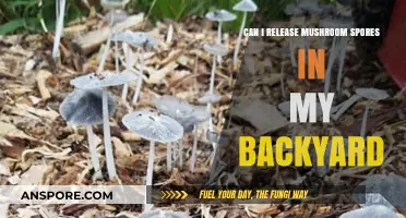 Releasing Mushroom Spores in Your Backyard: Risks, Benefits, and Legal Considerations