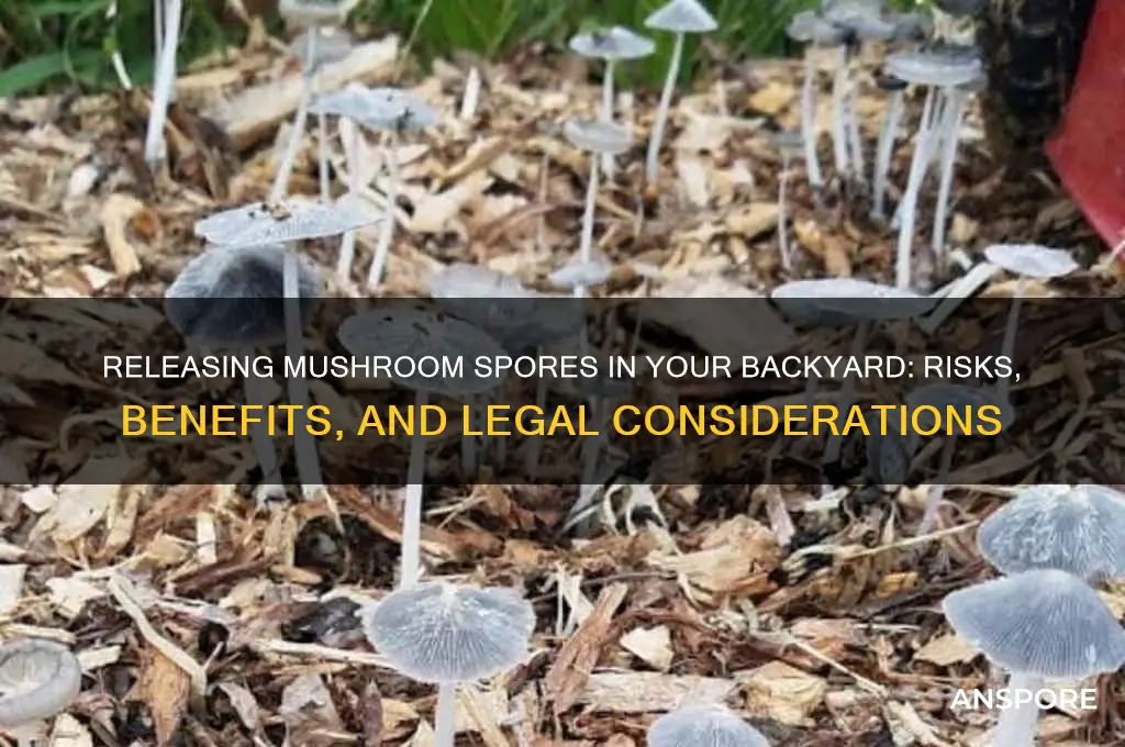 can i release mushroom spores in my backyard