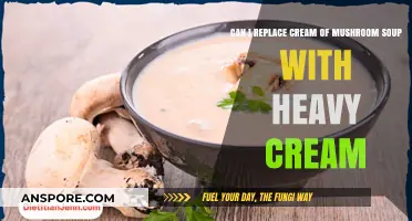 Cream of Mushroom Soup Substitute: Can Heavy Cream Replace It?