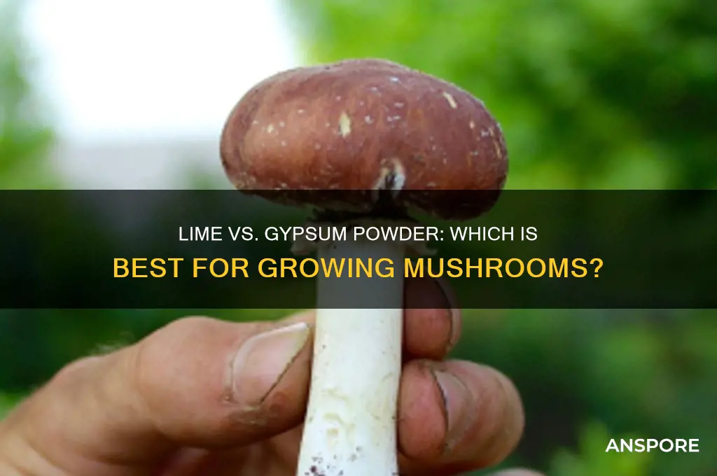 can i replace lime for gypsum powder for mushrooms