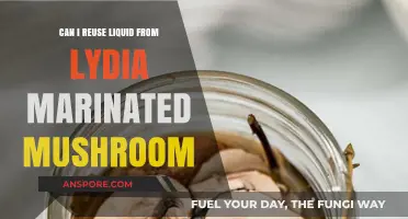 Reusing Lydia's Marinated Mushroom Liquid: Creative Culinary Tips and Tricks