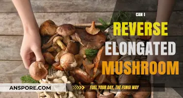 Reversing Elongated Mushrooms: Tips and Techniques for Healthy Growth