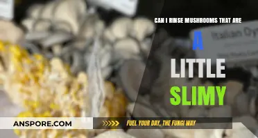 Slimy Mushrooms: Safe to Rinse or Toss? Quick Tips