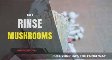 Can You Rinse Mushrooms? A Quick Guide to Cleaning Fungi