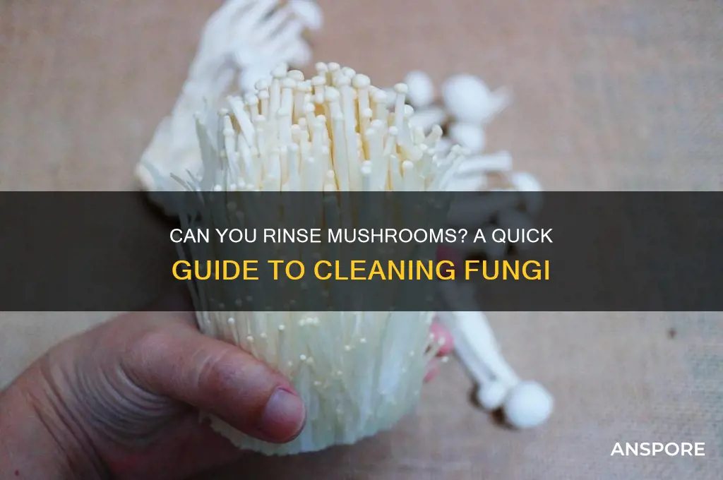 can i rinse mushrooms