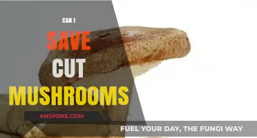 How to Properly Store and Save Cut Mushrooms for Freshness
