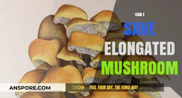Saving Elongated Mushrooms: Tips to Preserve Their Unique Shape and Freshness