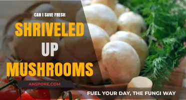 Reviving Fresh Mushrooms: Can You Save Shriveled Ones Effectively?