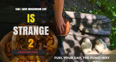 Saving Mushroom in Life is Strange 2: A Comprehensive Guide