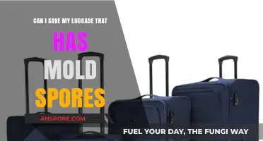 How to Safely Clean and Save Moldy Luggage: Expert Tips