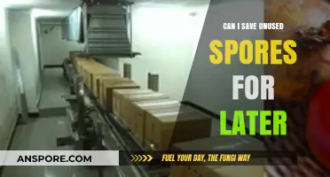 Saving Unused Spores: Tips for Long-Term Storage and Viability