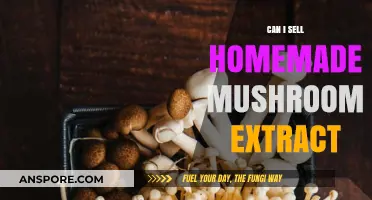 Selling Homemade Mushroom Extract: Legal, Safe, and Profitable Tips