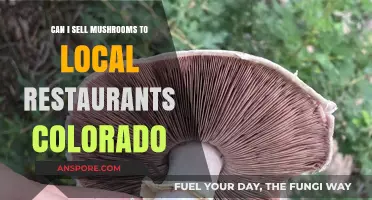 Selling Mushrooms to Colorado Restaurants: Legalities, Opportunities, and Tips