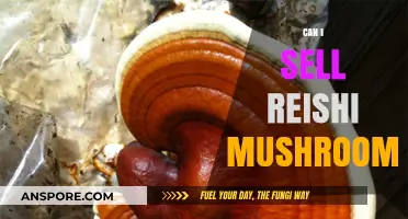 Selling Reishi Mushrooms: Legal, Profitable, and Sustainable Business Guide