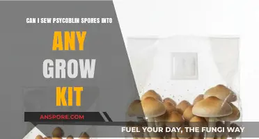 Sewing Psilocybin Spores: Compatibility with Various Grow Kits Explained