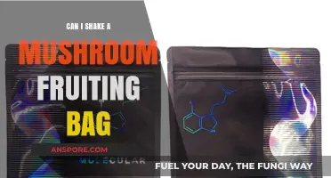 Shaking Mushroom Fruiting Bags: Benefits, Risks, and Best Practices Explained