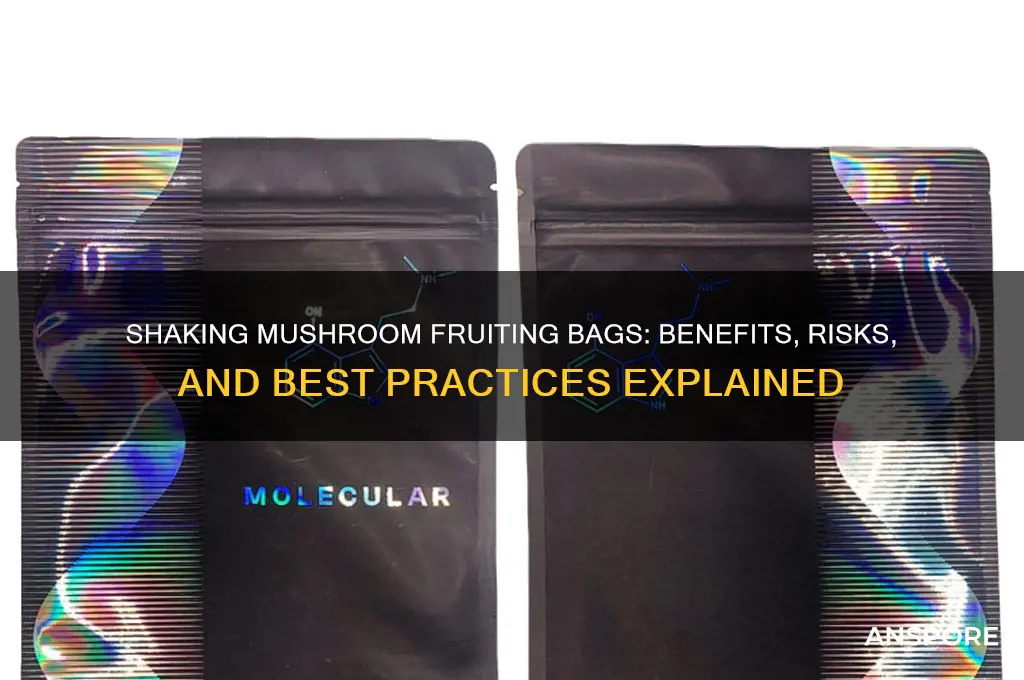 can i shake a mushroom fruiting bag