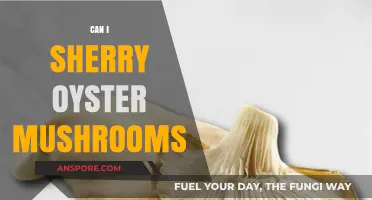 Sherry-Infused Oyster Mushrooms: A Culinary Adventure in Flavor Pairing