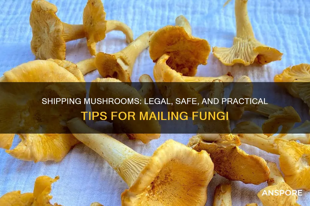 can i ship mushrooms in the mail