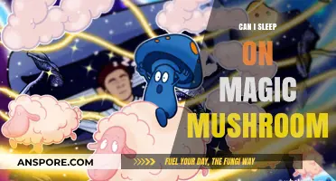 Sleeping on Shrooms: Risks, Effects, and What You Need to Know