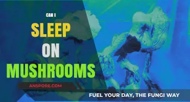 Sleeping on Mushrooms: Safe, Risky, or Just a Myth?