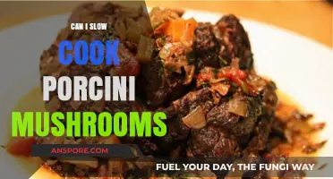 Slow Cooking Porcini Mushrooms: Tips, Techniques, and Delicious Recipes