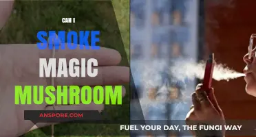 Smoking Magic Mushrooms: Risks, Effects, and Safer Consumption Methods