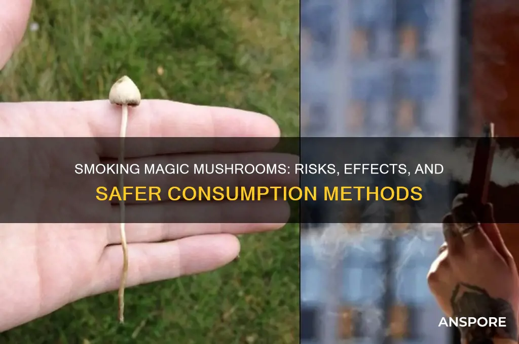 can i smoke magic mushroom