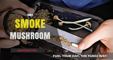 Smoking Mushrooms: Risks, Effects, and Safer Consumption Methods Explained