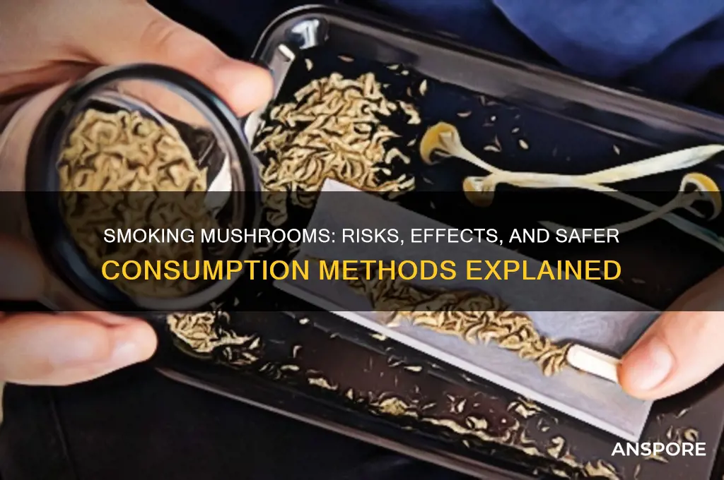 can i smoke mushroom