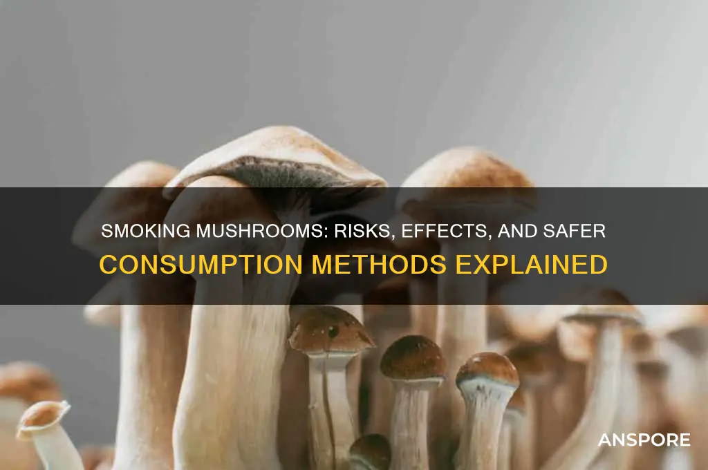 can i smoke mushrooms