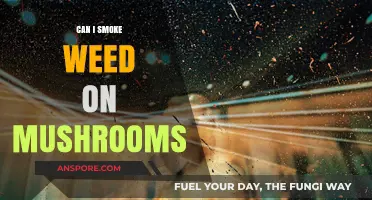 Mixing Weed and Mushrooms: Risks, Effects, and Safety Tips