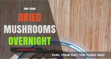 Soaking Dried Mushrooms Overnight: Tips, Benefits, and Best Practices