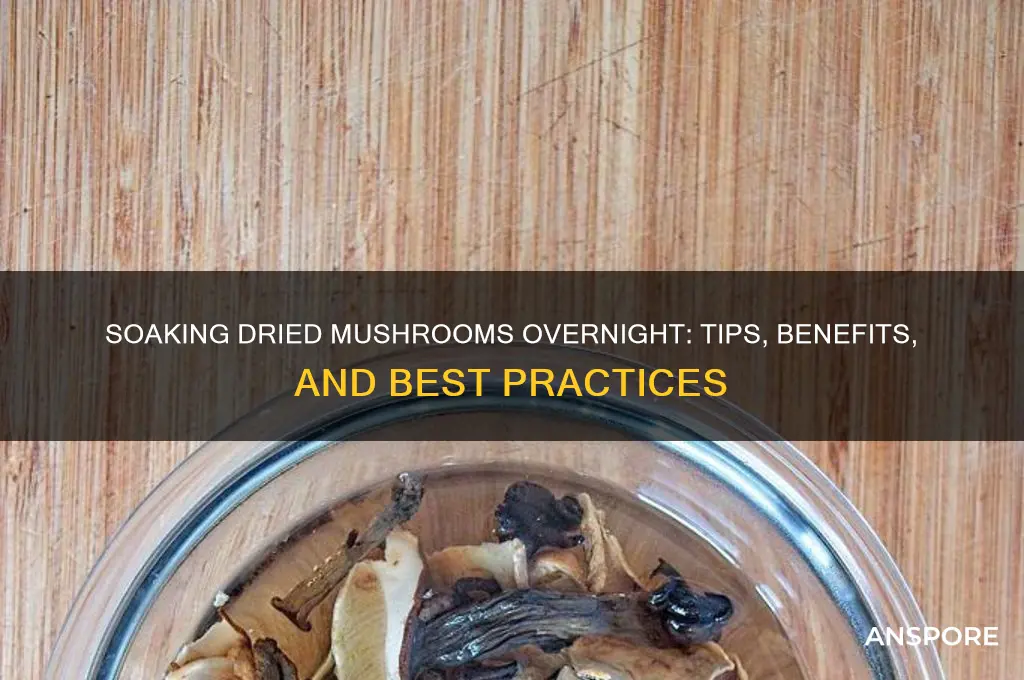 can i soak dried mushrooms overnight
